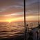 Beneteau First 345 | Kalori