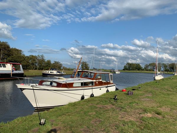 Mulder Super Favorite 960 OK | Patou Royal