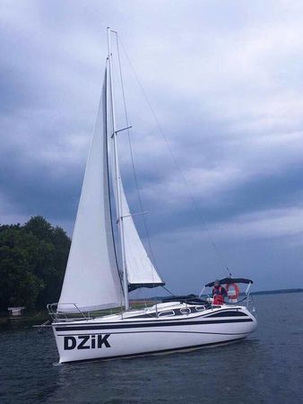 Tes 32 Dreamer | Dzik