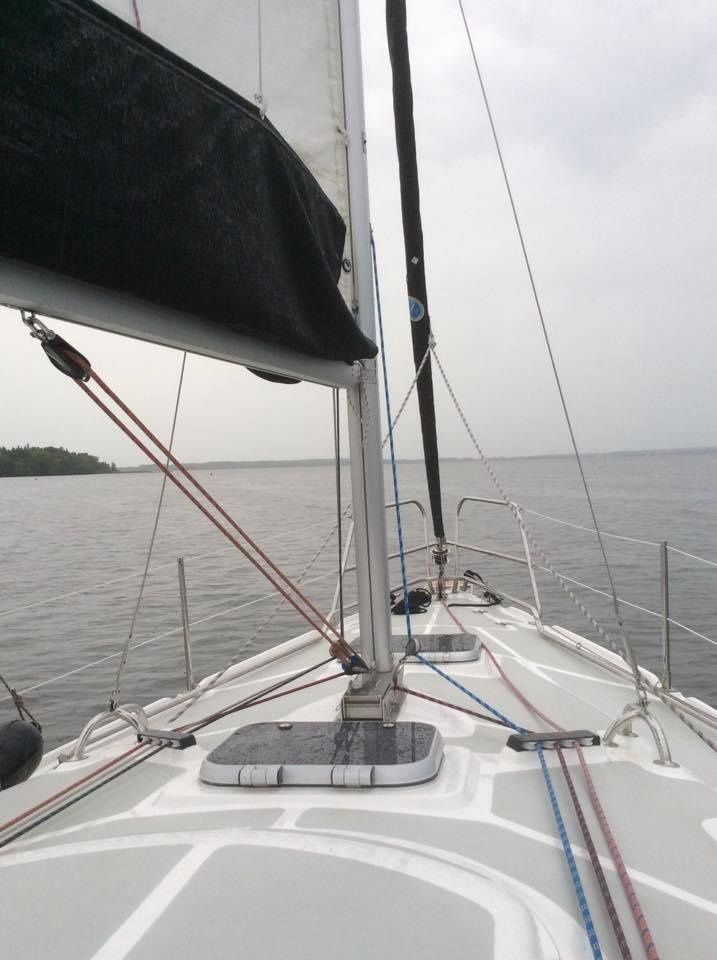 Tes 32 Dreamer | Dzik