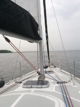 Tes 32 Dreamer | Dzik