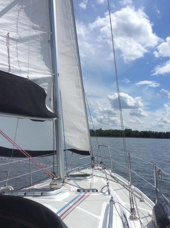 Tes 32 Dreamer | Dzik