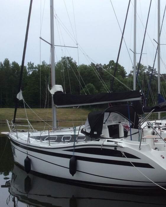 Tes 32 Dreamer | Dzik