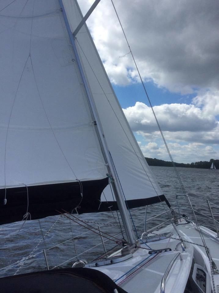 Tes 32 Dreamer | Dzik