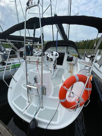 Tes 32 Dreamer | Dzik