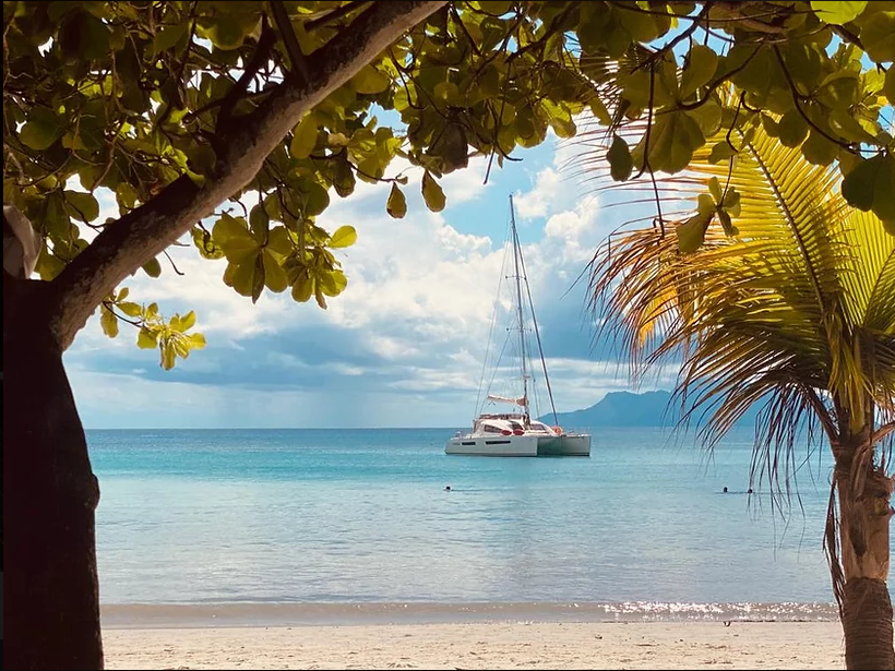 Privilege 615 | Cirrus