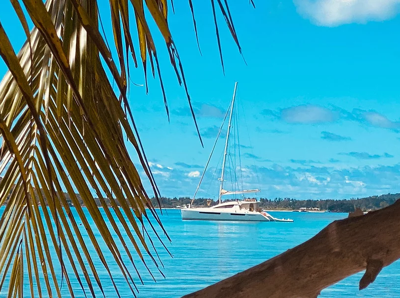 Privilege 615 | Cirrus