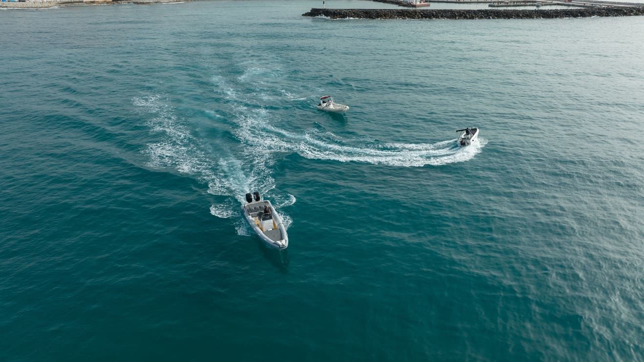 Ribco Scorpion 8.60 | Evgenia