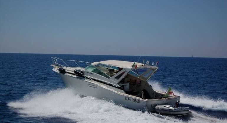 Bertram 38 | Giro in Giro