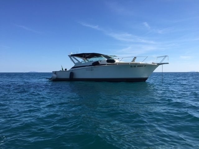 Bertram 38 | Giro in Giro