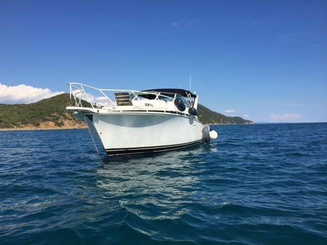 Bertram 38 | Giro in Giro