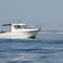 Sessa Dorado 22 | 10