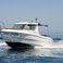 Sessa Dorado 22 | 10