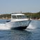 Sessa Dorado 22 | 10