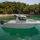Sessa Dorado 22 | 10