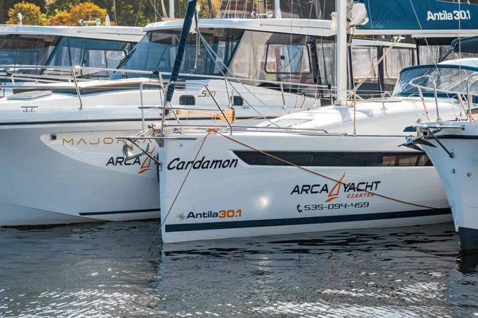 Antila 30.1 | Cardamon