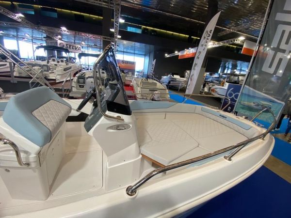 Salpa Sunsix | Baby Shark