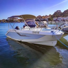 Salpa Sunsix | Baby Shark