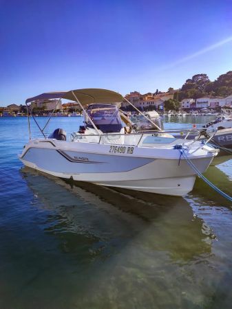 Salpa Sunsix | Baby Shark