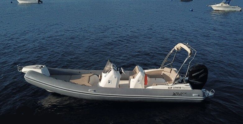 Black Fin Elegance 8 | 20