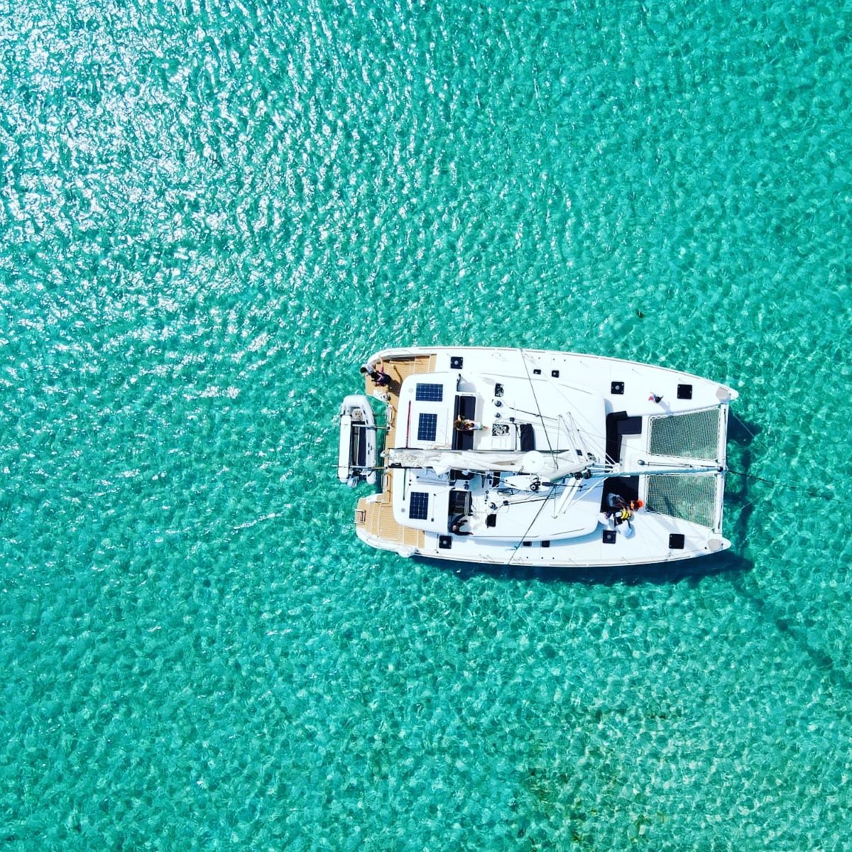 Lagoon 450 F | Pollo