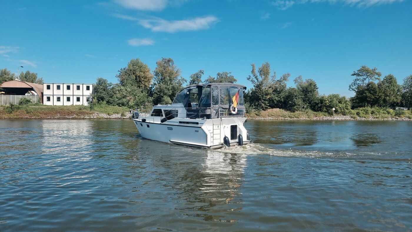 Pedro Solano 38 | Martha