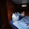 Proficiat 1300 Exclusive | Delight