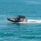 Tiger Marine 740 Pro Line | 22
