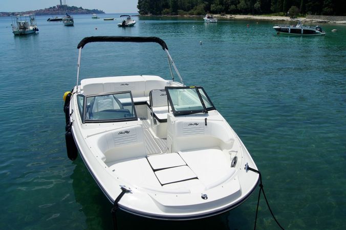 Sea Ray 210 | Black Diamond 2