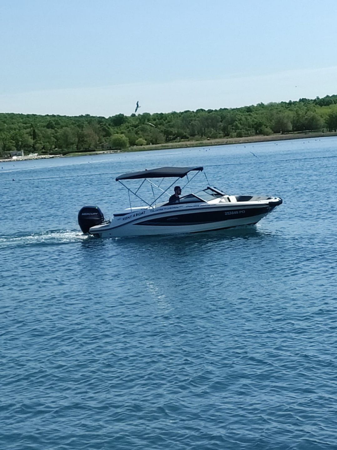 Sea Ray 19 SPX | 00