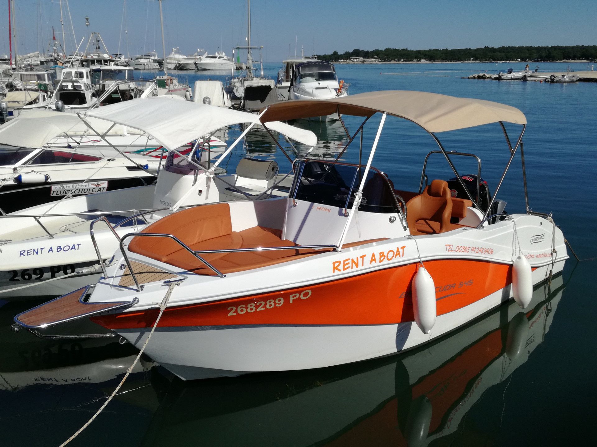 Barracuda 545 | Orange