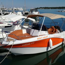 Barracuda 545 | Orange