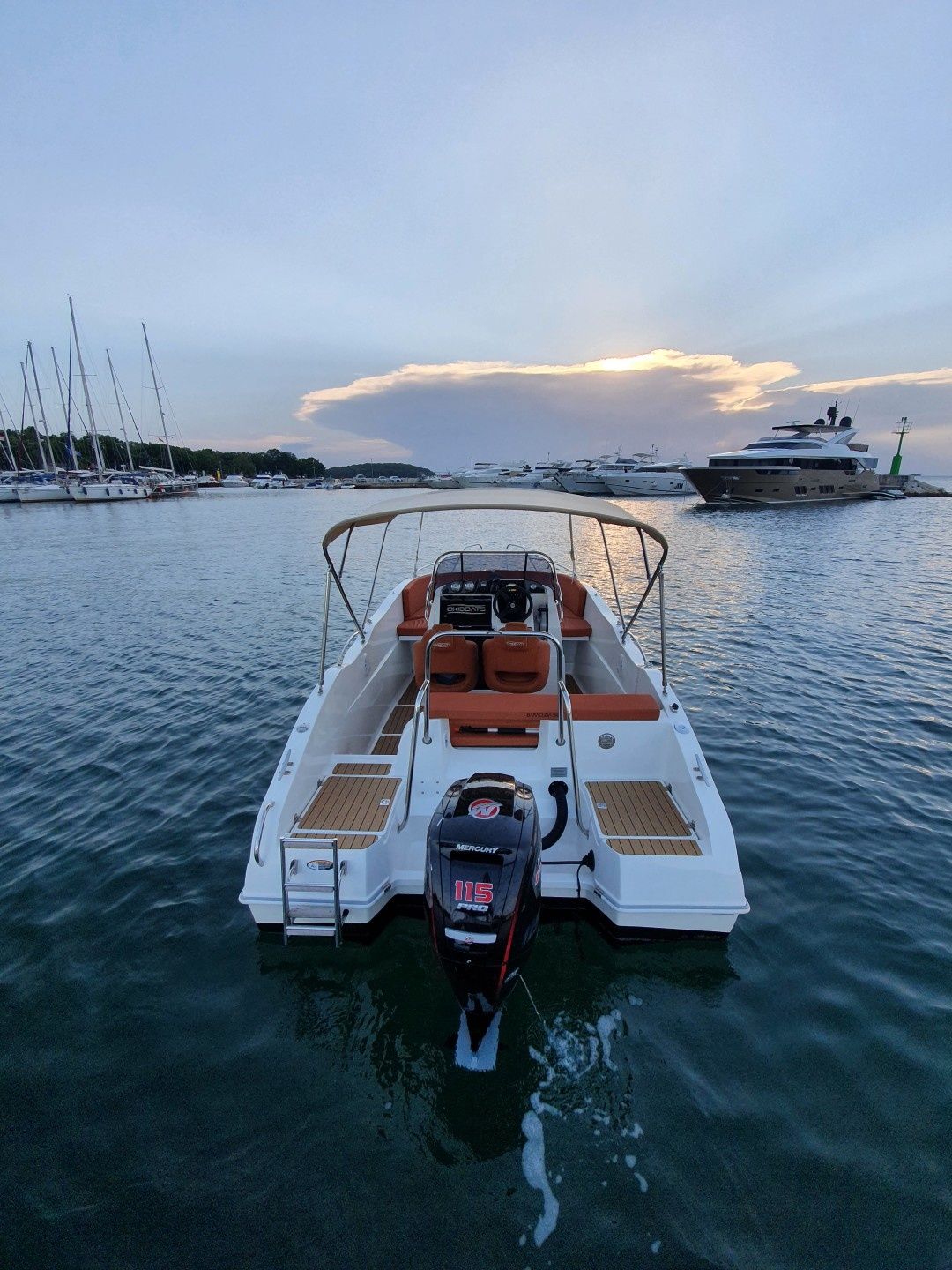 Barracuda 545 | Orange