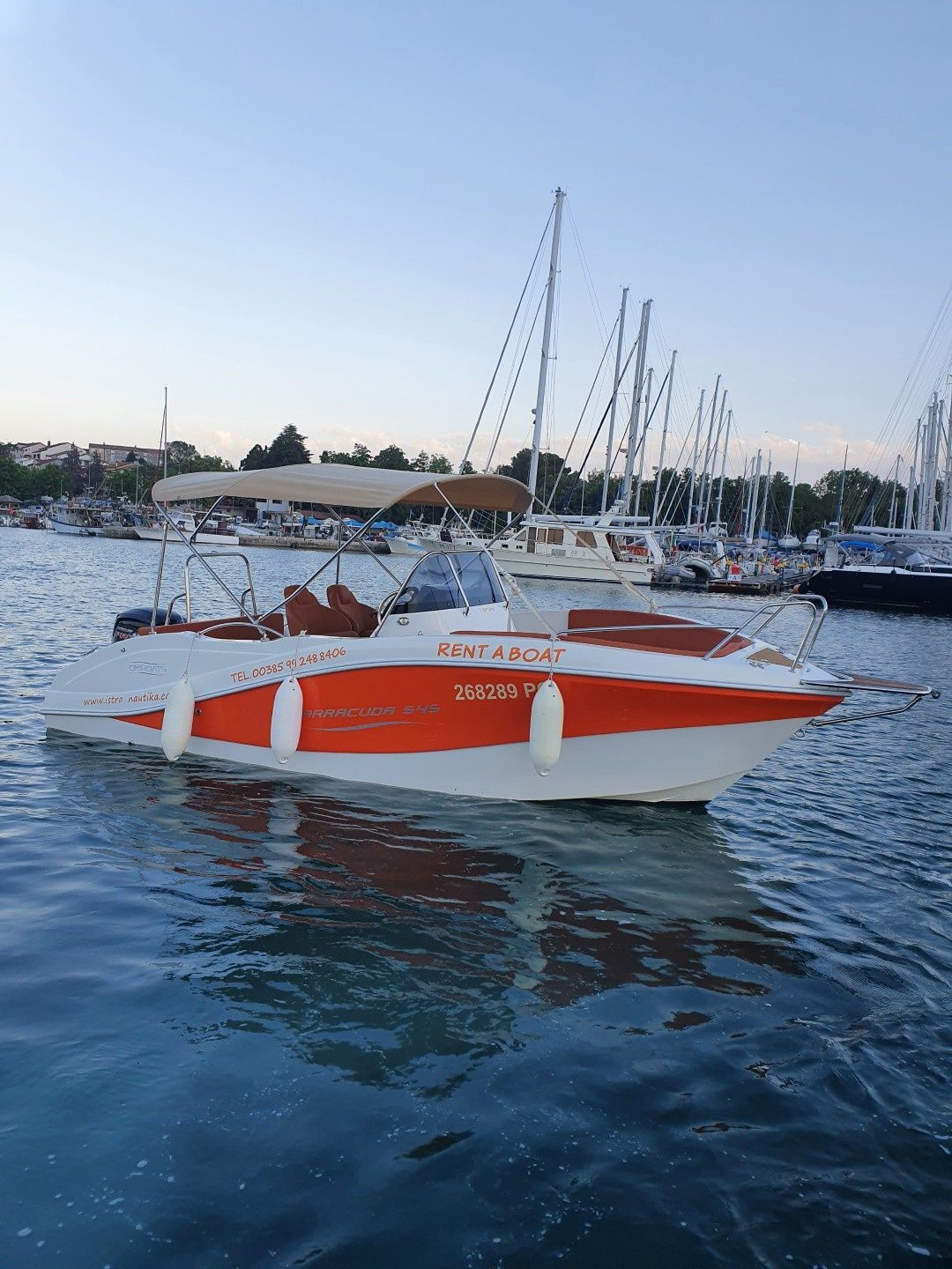 Barracuda 545 | Orange