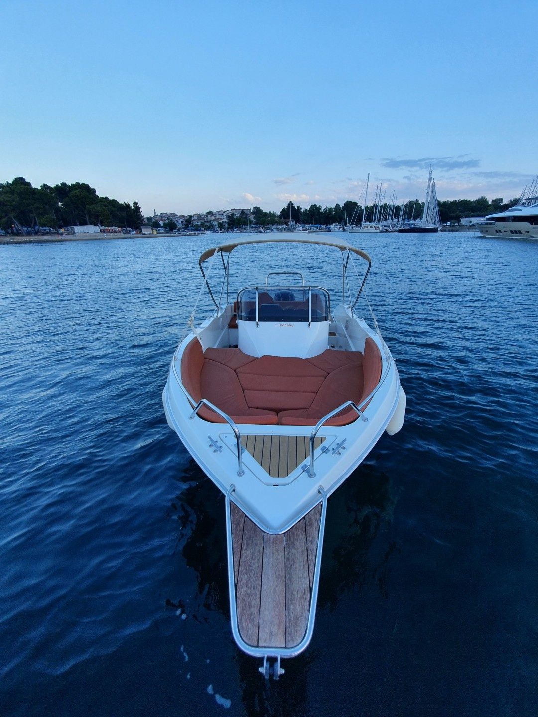 Barracuda 545 | Orange