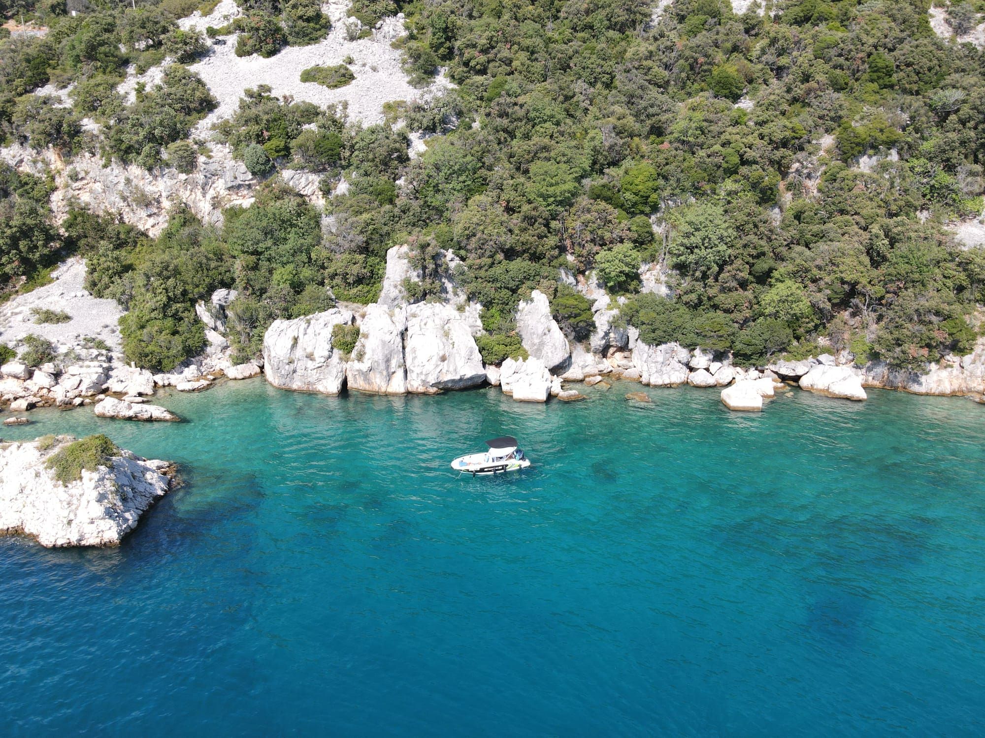 Andromeda 635 | Orizzonti