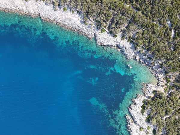 Andromeda 635 | Orizzonti