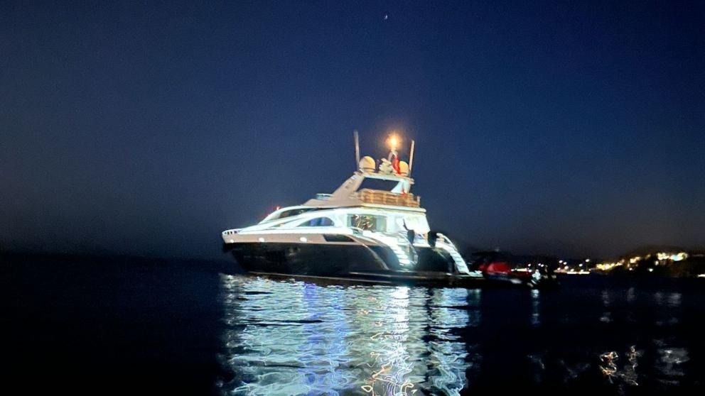 Leopard 105 | White Pearl