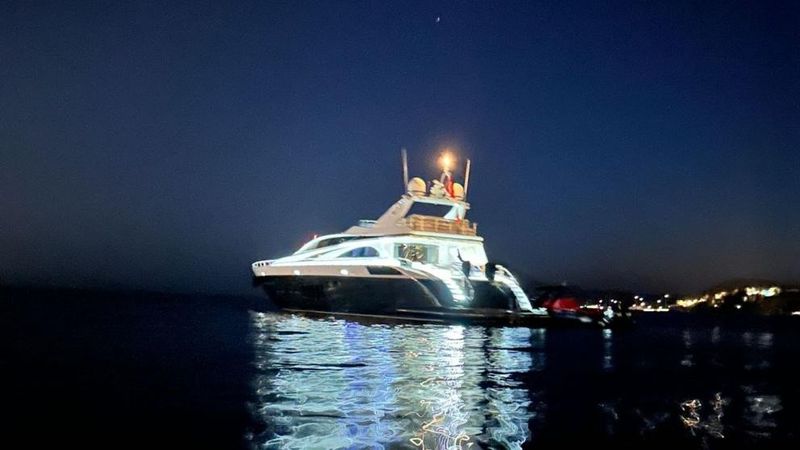 Leopard 105 | White Pearl