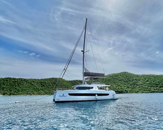 Bali 4.8 | CattyShack