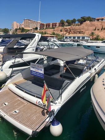 Windy 31 Zonda | Gaudi