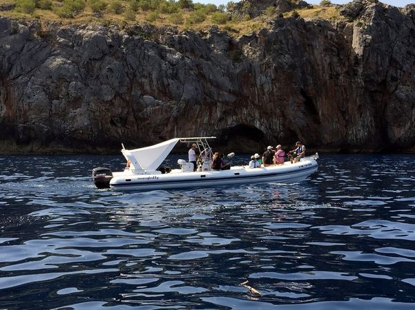 Nuova Jolly King Extreme 990 | Tripona's