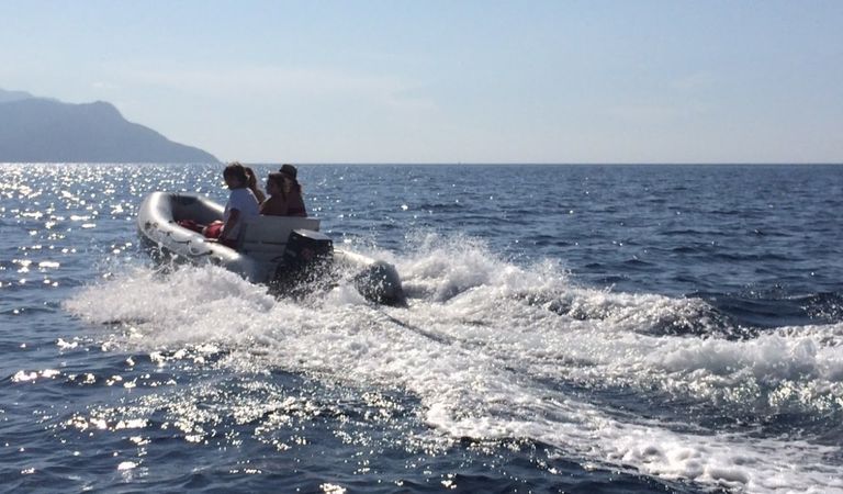 Quicksilver 450 | Nena