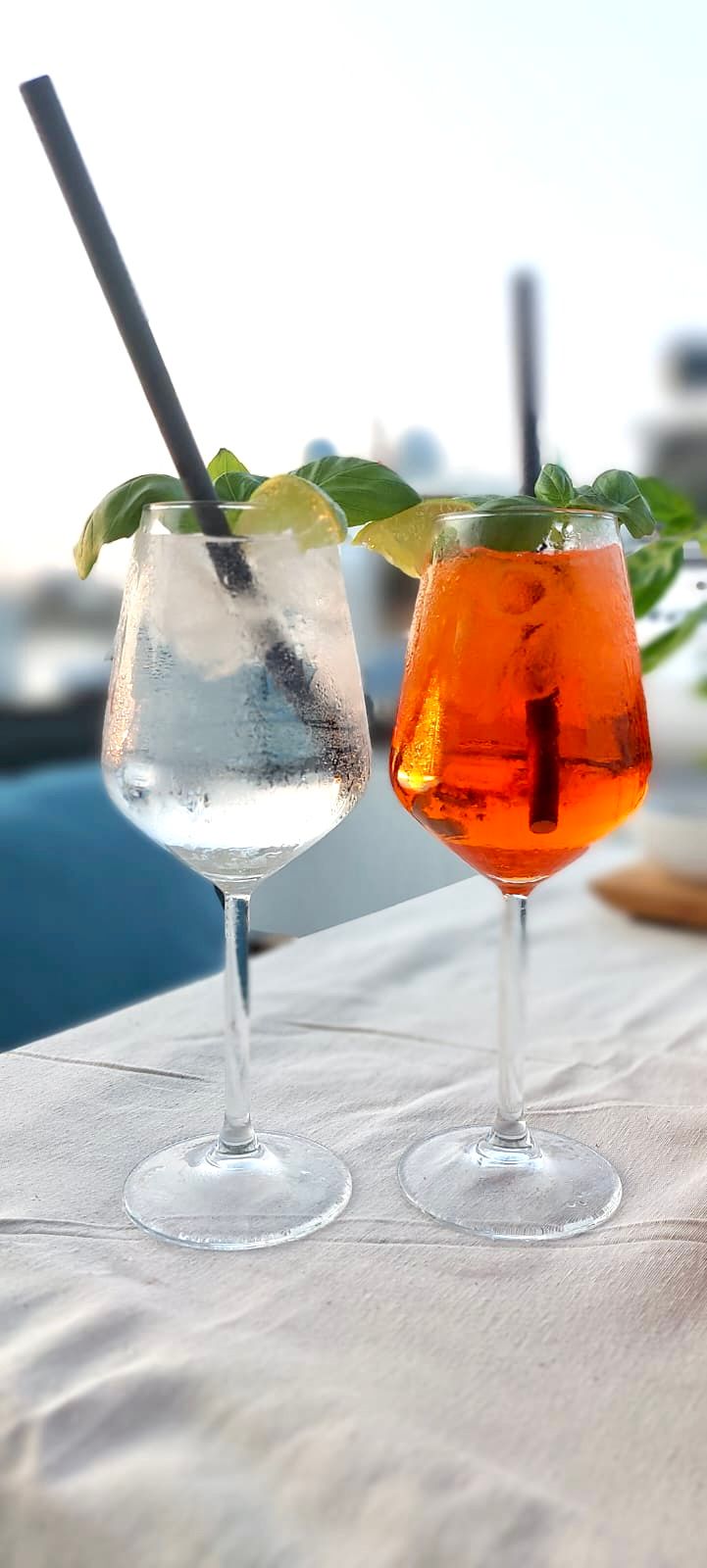 Carnevali 42 Fly | Dexter