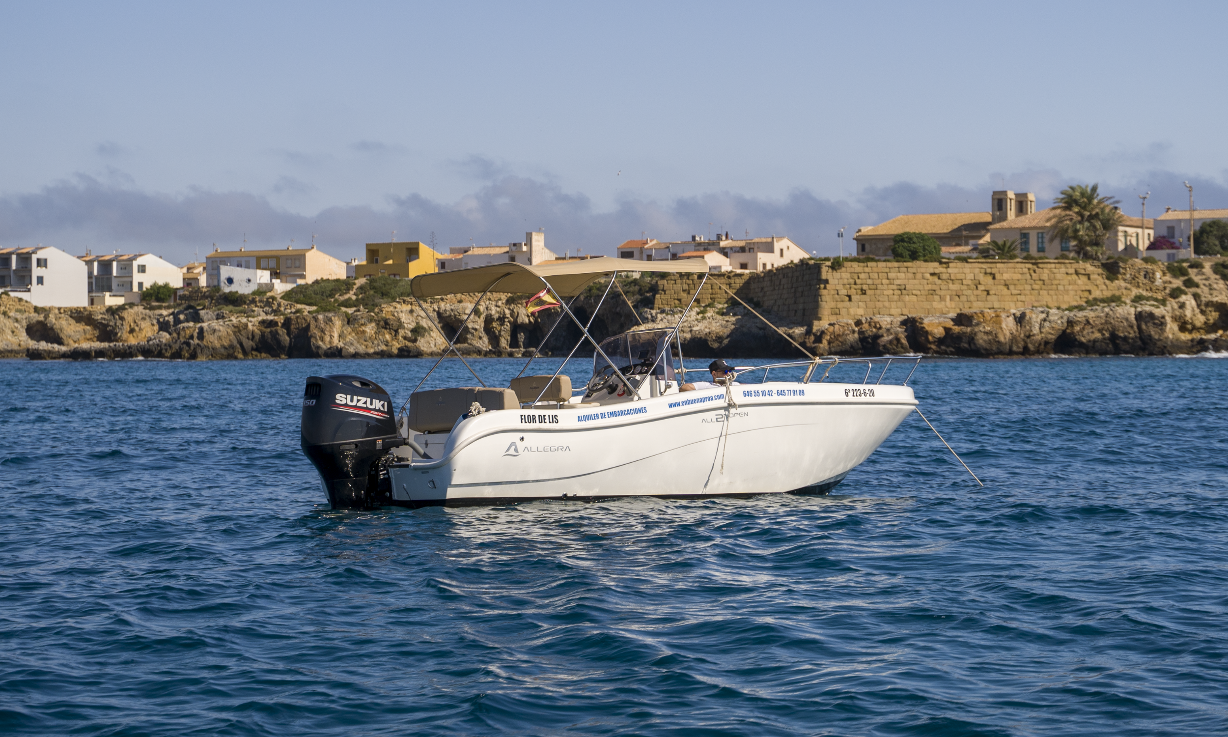 Allegra 21 | Flor de Lis