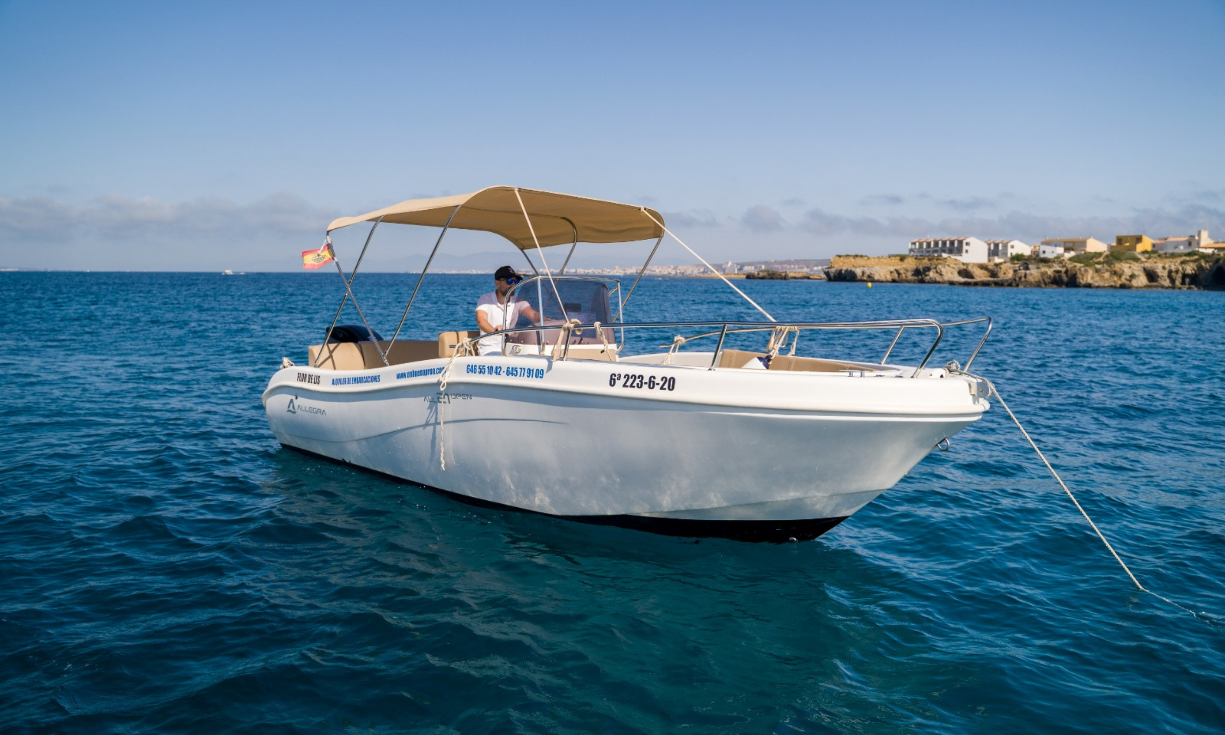 Allegra 21 | Flor de Lis