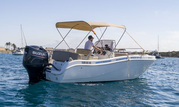 Allegra 21 | Flor de Lis