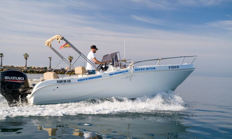 Allegra 21 | Flor de Lis