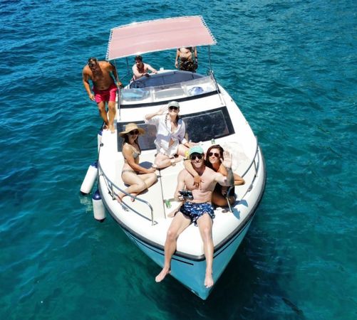 Delphia Nano | Andrea