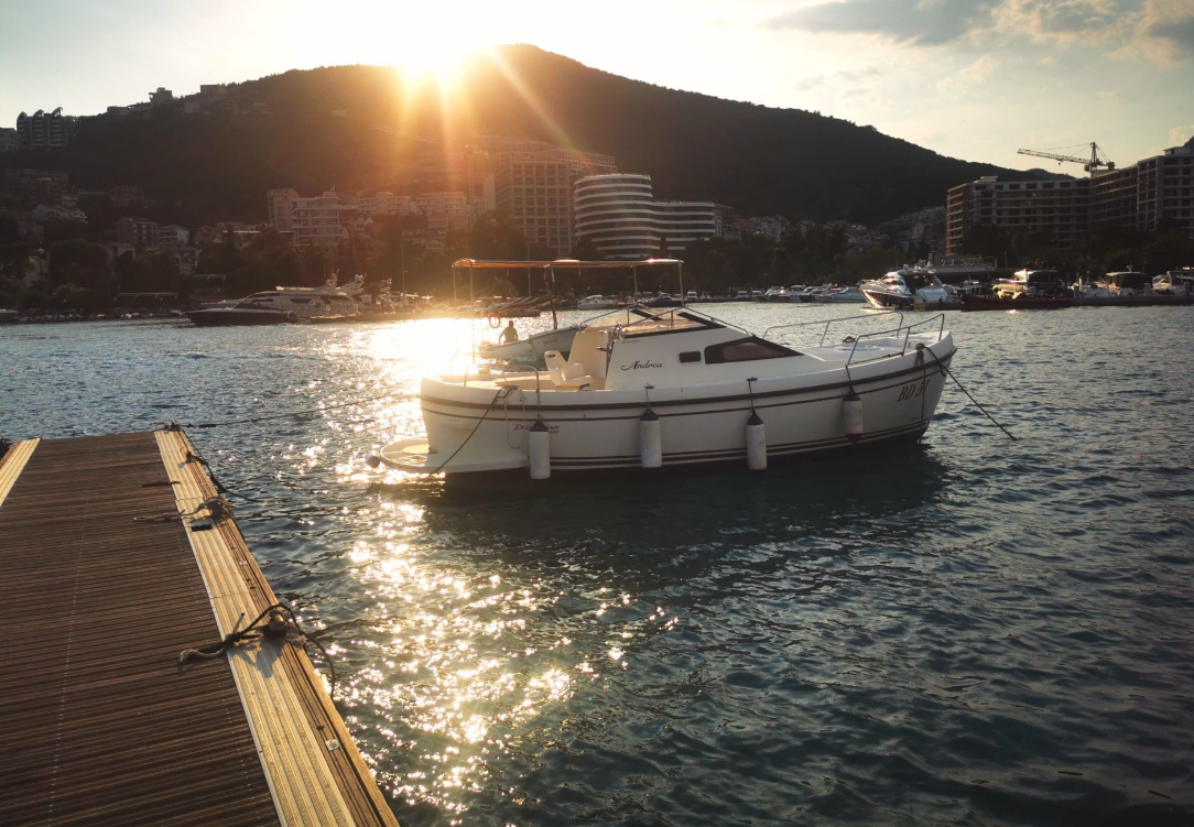 Delphia Nano | Andrea